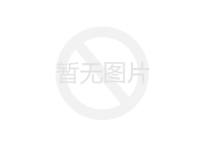 过滤冲孔网